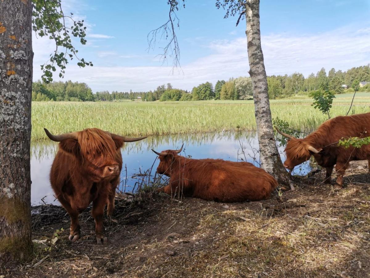 Isotalo Farm At Enaejaervi Lake Salo  Eksteriør billede