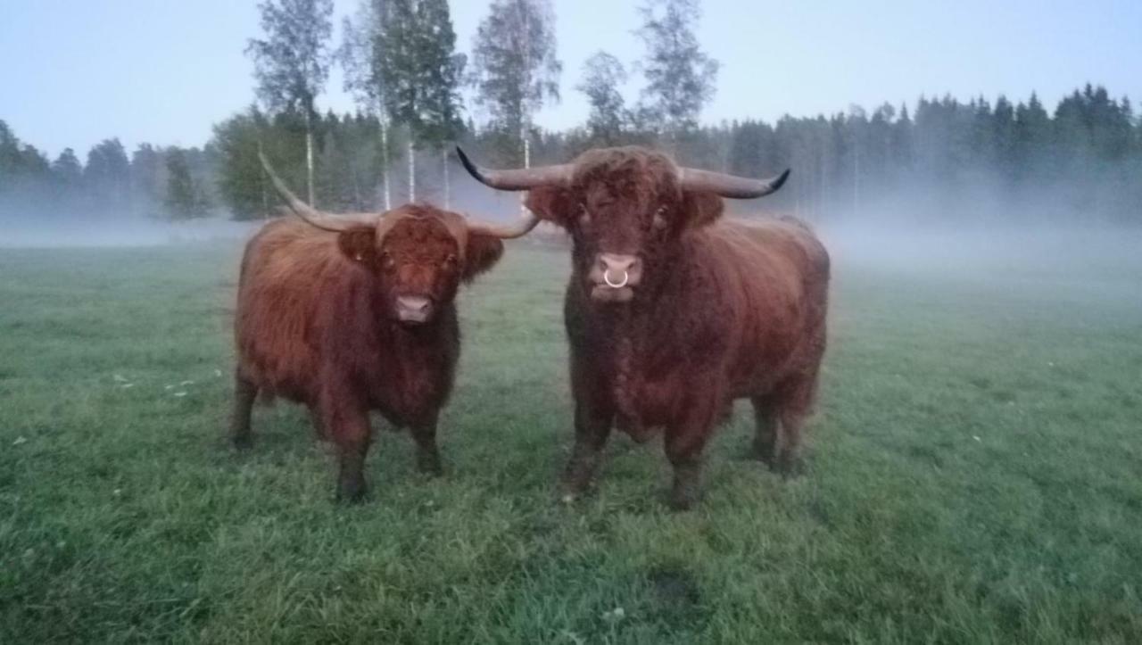 Isotalo Farm At Enaejaervi Lake Salo  Eksteriør billede